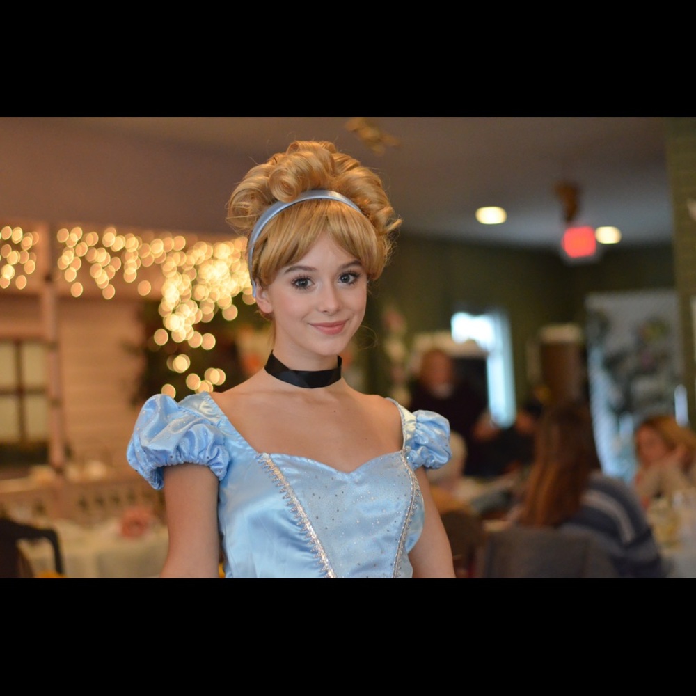 Cinderella Wig (Costume not included)